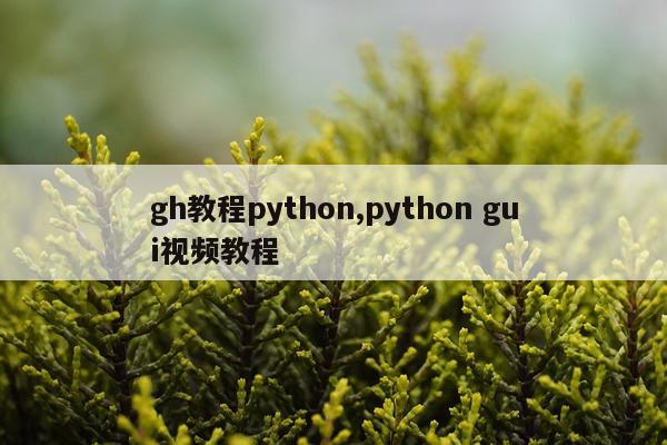 gh教程python,python gui视频教程