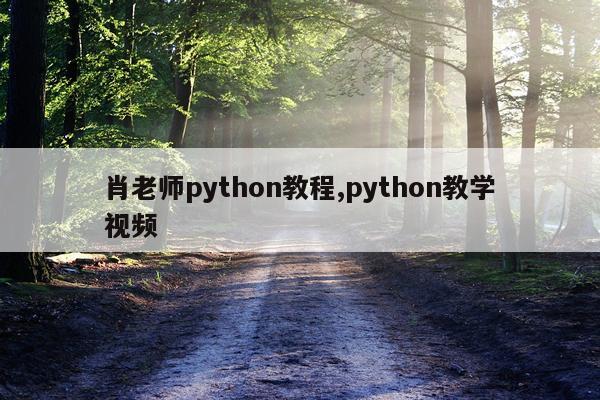 肖老师python教程,python教学视频