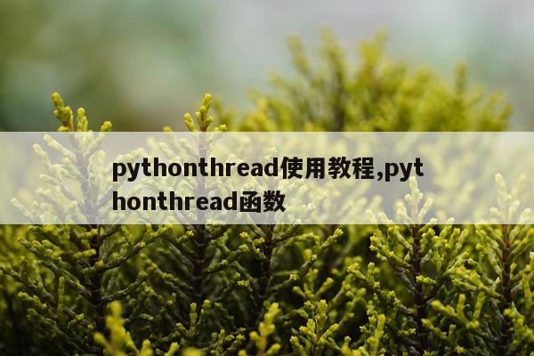pythonthread使用教程,pythonthread函数