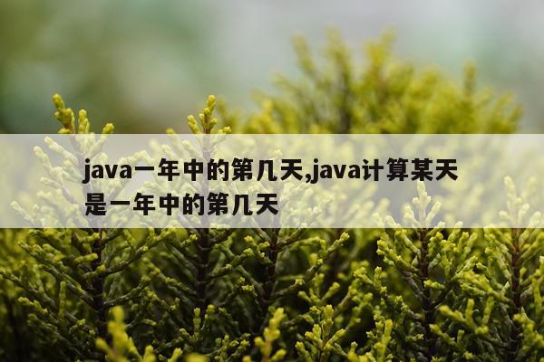 java一年中的第几天,java计算某天是一年中的第几天
