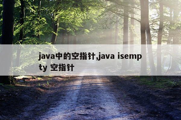 java中的空指针,java isempty 空指针
