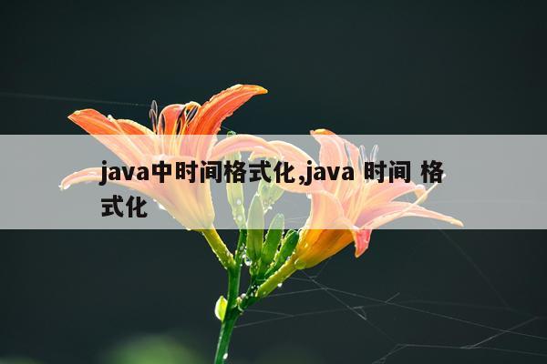 java中时间格式化,java 时间 格式化