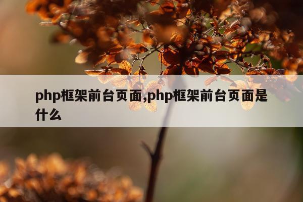 php框架前台页面,php框架前台页面是什么