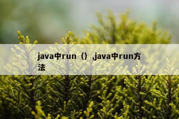 java中run(),java中run方法