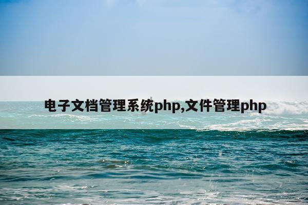 电子文档管理系统php,文件管理php