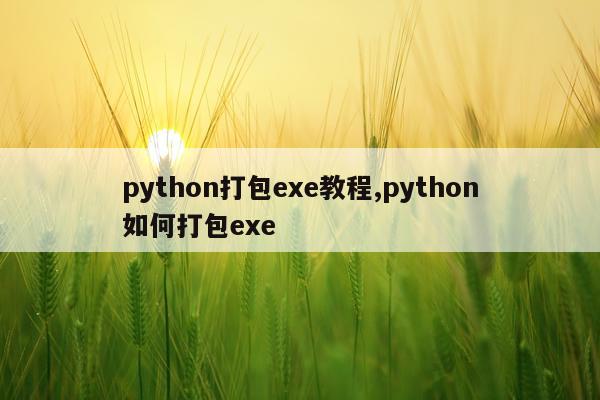 python打包exe教程,python如何打包exe