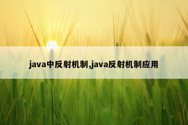 java中反射机制,java反射机制应用