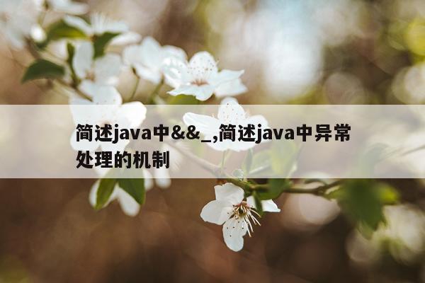 简述java中&&_,简述java中异常处理的机制
