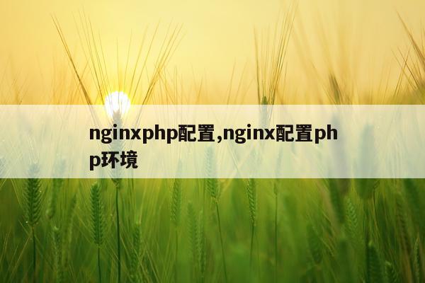 nginxphp配置,nginx配置php环境