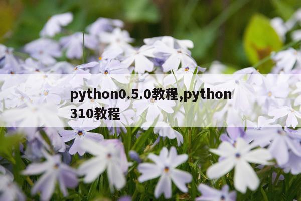 python0.5.0教程,python310教程