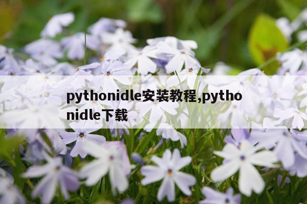pythonidle安装教程,pythonidle下载