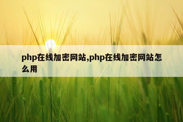 php在线加密网站,php在线加密网站怎么用
