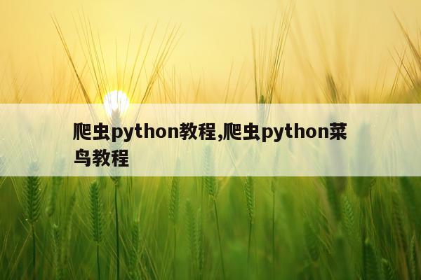 爬虫python教程,爬虫python菜鸟教程