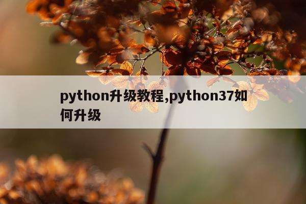python升级教程,python37如何升级