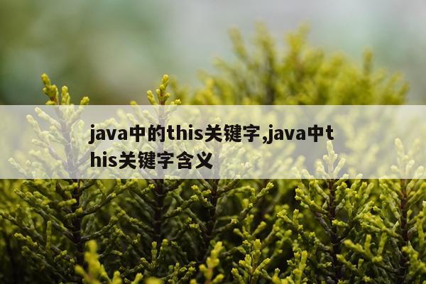 java中的this关键字,java中this关键字含义