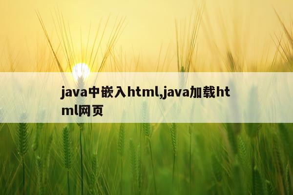 java中嵌入html,java加载html网页