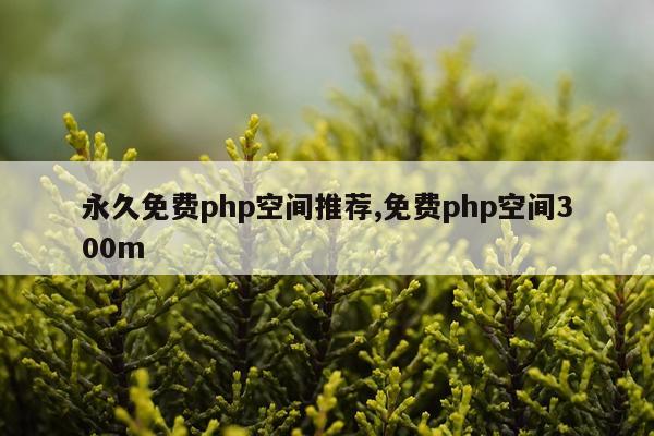 永久免费php空间推荐,免费php空间300m