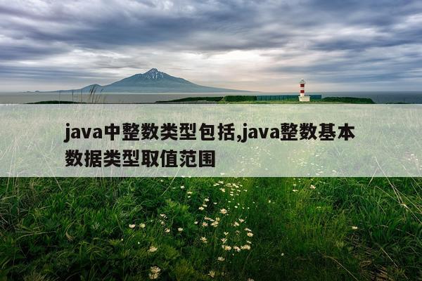 java中整数类型包括,java整数基本数据类型取值范围