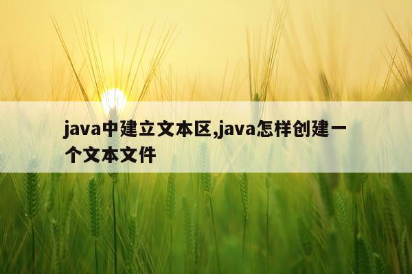 java中建立文本区,java怎样创建一个文本文件