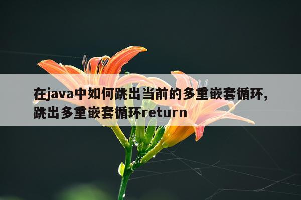在java中如何跳出当前的多重嵌套循环,跳出多重嵌套循环return