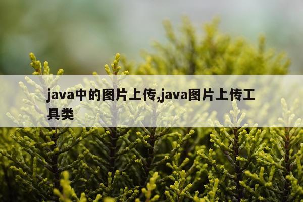 java中的图片上传,java图片上传工具类