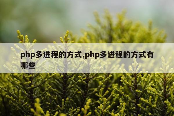 php多进程的方式,php多进程的方式有哪些
