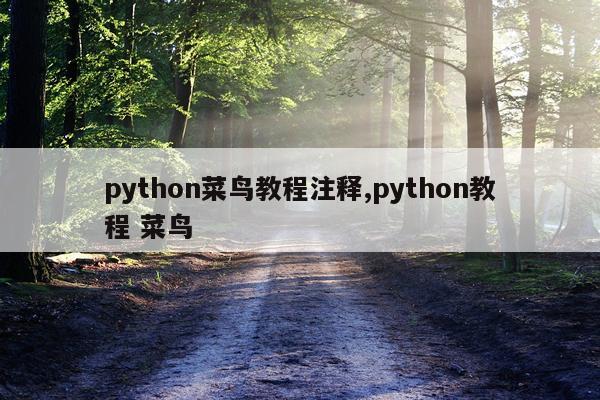 python菜鸟教程注释,python教程 菜鸟