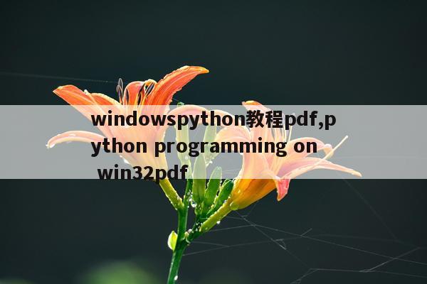 windowspython教程pdf,python programming on win32pdf