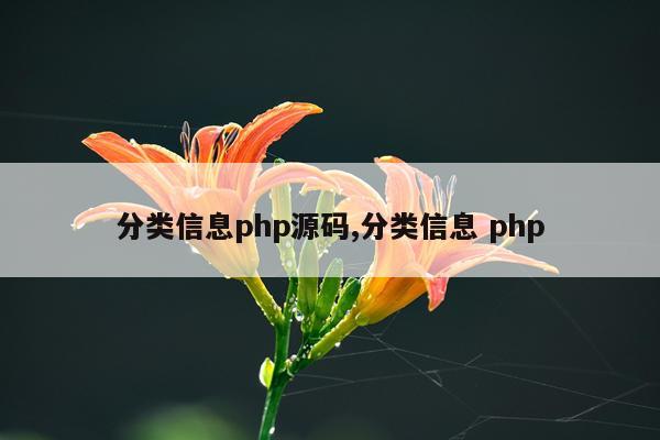 分类信息php源码,分类信息 php