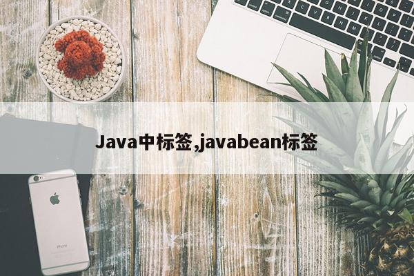 Java中标签,javabean标签