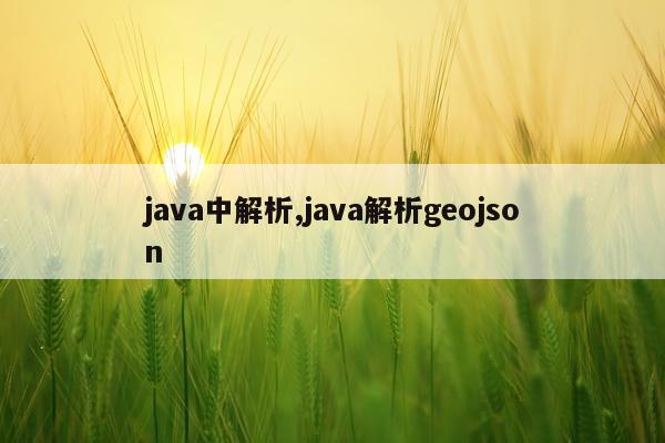 java中解析,java解析geojson