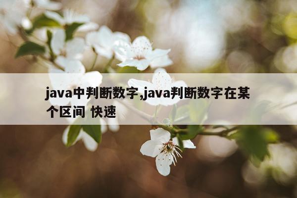 java中判断数字,java判断数字在某个区间 快速