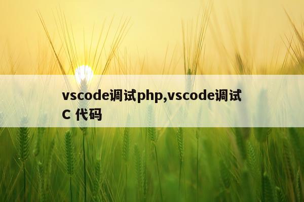 vscode调试php,vscode调试C 代码