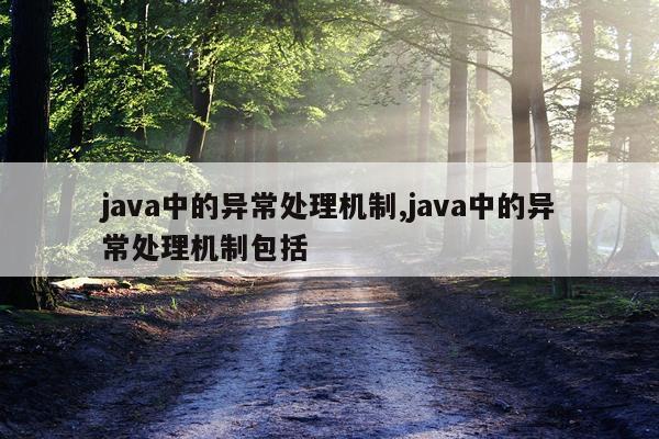 java中的异常处理机制,java中的异常处理机制包括