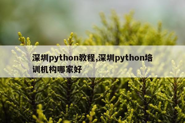 深圳python教程,深圳python培训机构哪家好