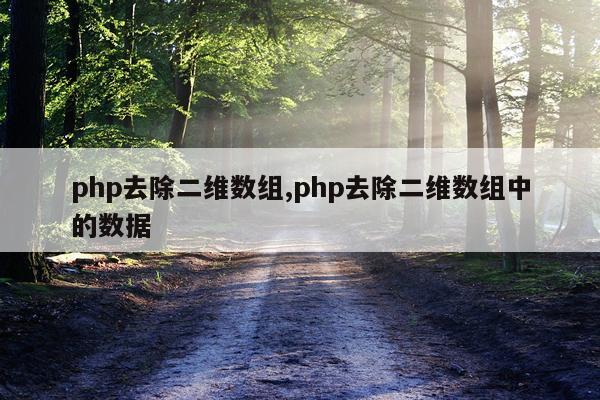 php去除二维数组,php去除二维数组中的数据