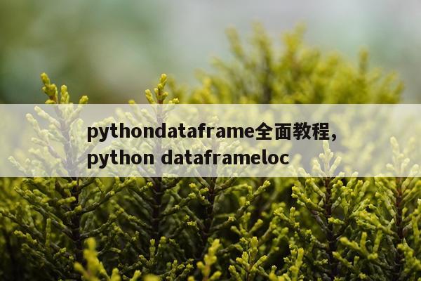 pythondataframe全面教程,python dataframeloc