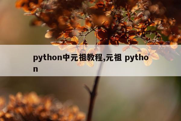 python中元祖教程,元祖 python