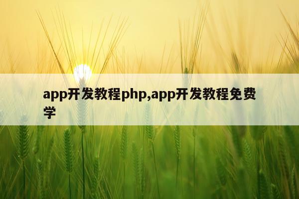 app开发教程php,app开发教程免费学