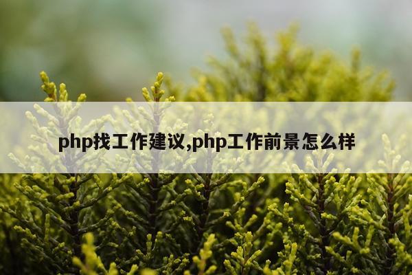 php找工作建议,php工作前景怎么样