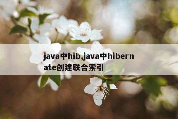 java中hib,java中hibernate创建联合索引