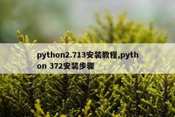 python2.713安装教程,python 372安装步骤