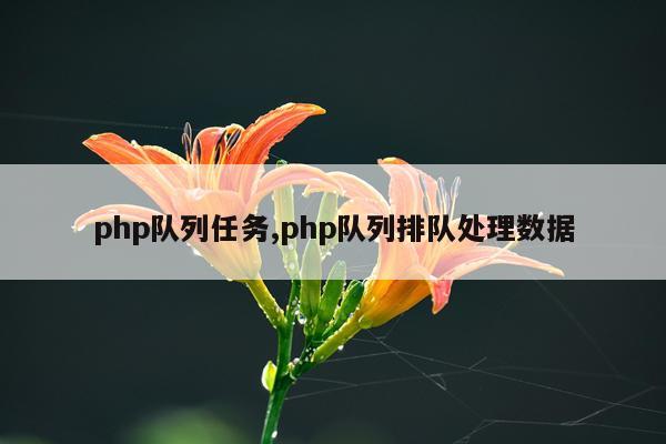 php队列任务,php队列排队处理数据