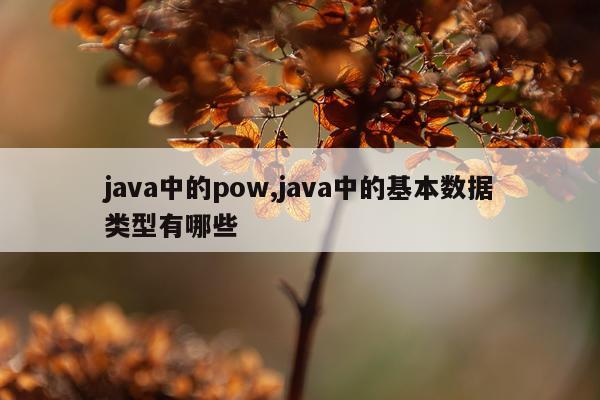 java中的pow,java中的基本数据类型有哪些