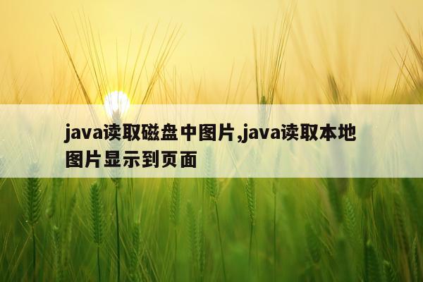 java读取磁盘中图片,java读取本地图片显示到页面