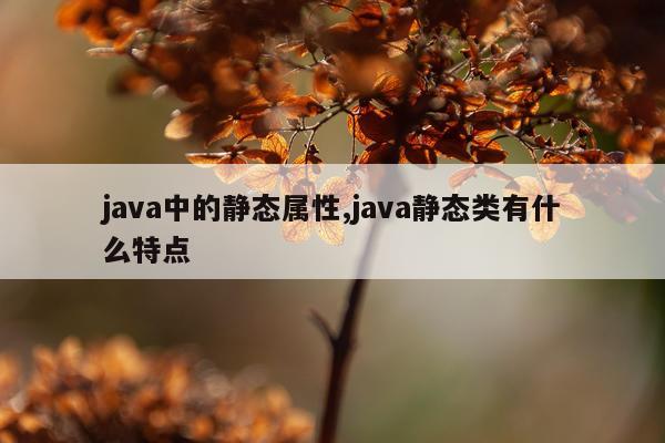 java中的静态属性,java静态类有什么特点
