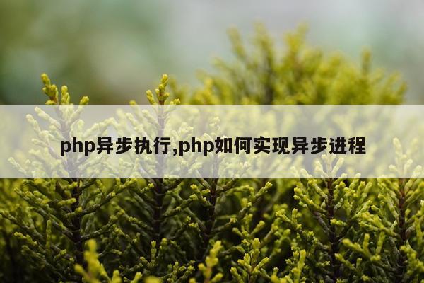 php异步执行,php如何实现异步进程