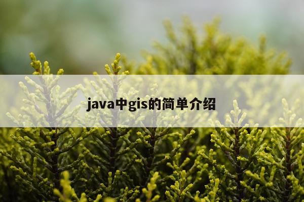 java中gis的简单介绍