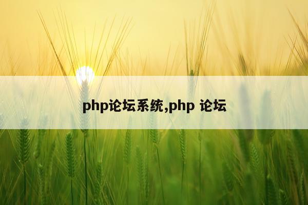 php论坛系统,php 论坛