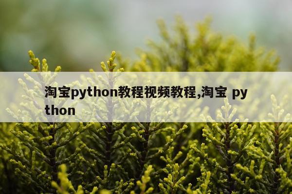 淘宝python教程视频教程,淘宝 python